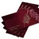 Maroon__InPrintStory